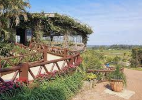 Melhores passeios ao ar livre em Porto Alegre