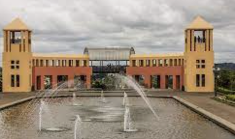 O que fazer em Curitiba sozinho