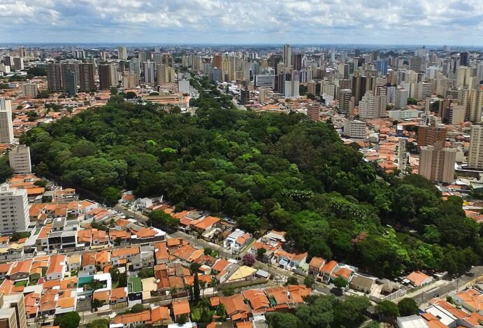 Como se divertir em Campinas: 4 sugestões