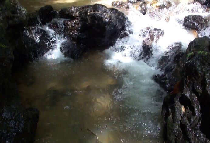 Como se divertir em Uberaba