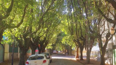 Planejamento e organização de eventos em Araraquara