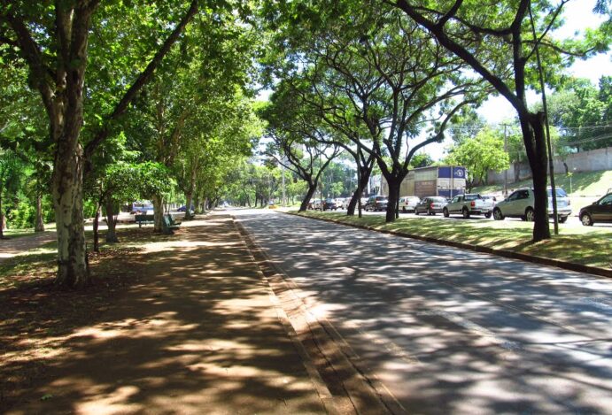 Foz do Iguaçu: Onde a Aventura Não se Põe com o Sol