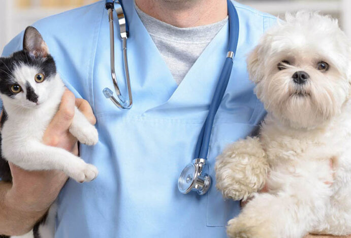 7 principais congressos Foz do Iguaçu novembro 2022