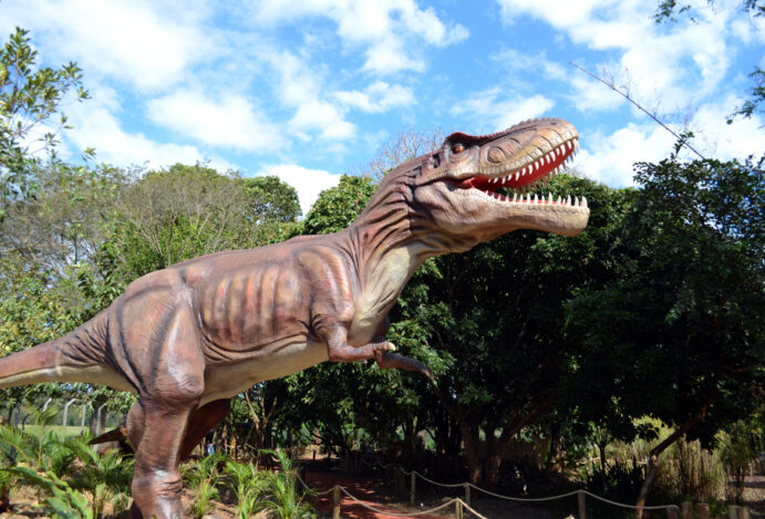 9 locais para eventos com crianças em Foz do Iguaçu