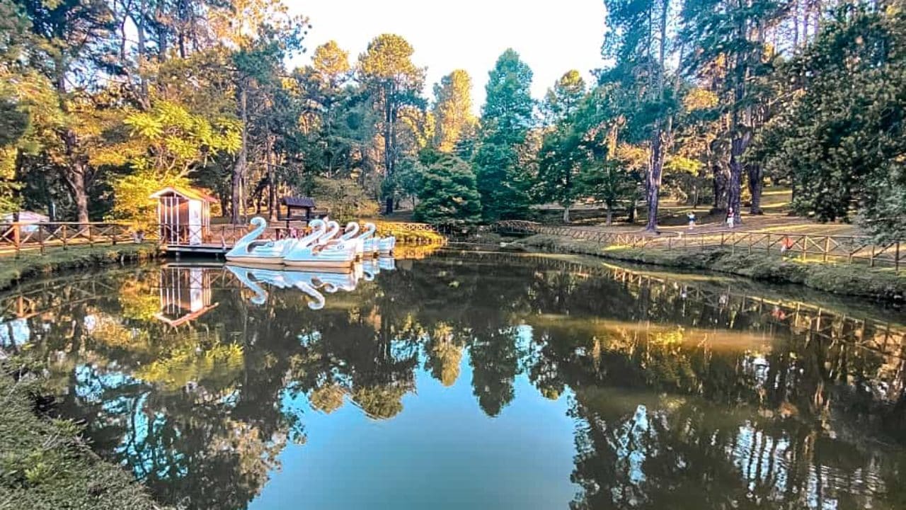 O que fazer em Campos do Jordão 50 sugestões. O que fazer em Campos do Jordão 50 sugestões Parque estadual