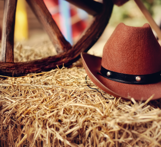 Hospede-se no melhor lugar em Barretos