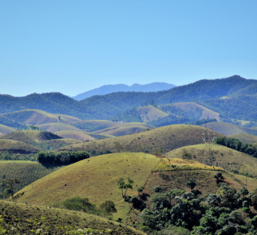 Explorando Campos do Jordão Como um Morador Local: Guia de Aventuras Culturais e Naturais
