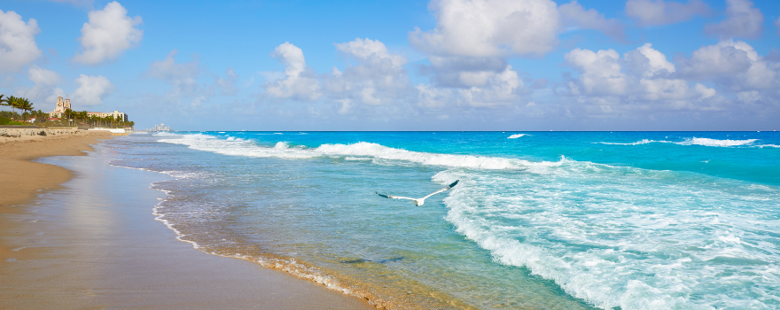 O que fazer em Jaboatão dos Guararapes
