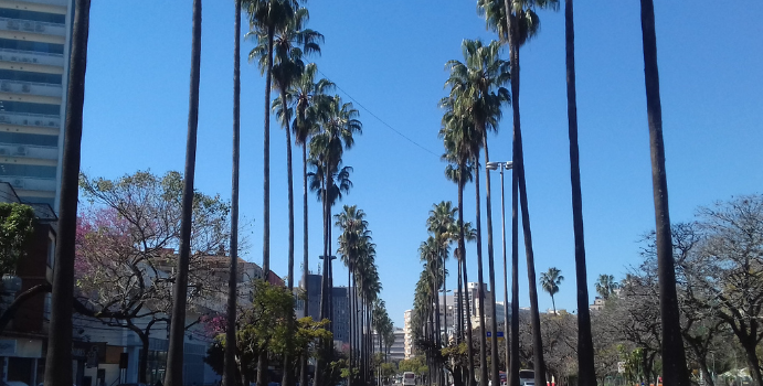 Os melhores pontos turísticos para fotos em Porto Alegre