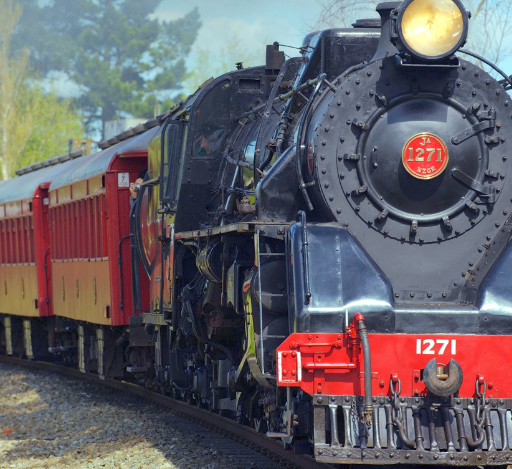 Entre Vales e Montanhas: Uma Viagem Ferroviária de Curitiba a Morretes