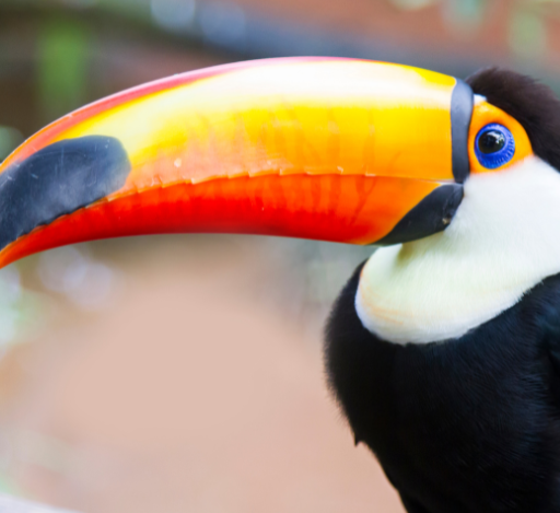 Na Trilha da Consciência Verde: Ecoturismo nas Cataratas do Iguaçu