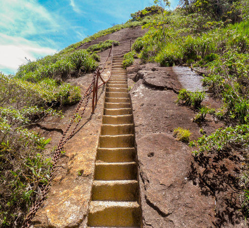 Parque Nacional Da Tijuca
