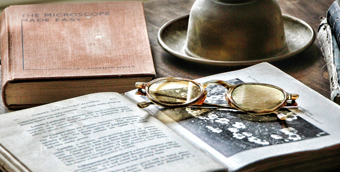 Crônicas de Uma Festa Literária: O Encanto do Flipoços