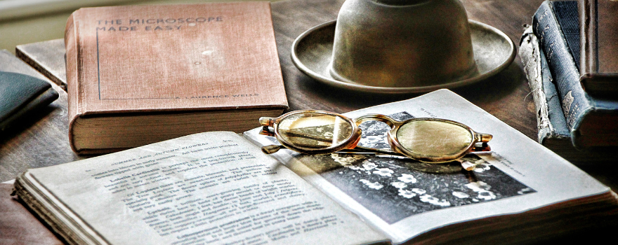 Crônicas de Uma Festa Literária: O Encanto do Flipoços A História e a Cultura da Praça Rui Barbosa em Araçatuba