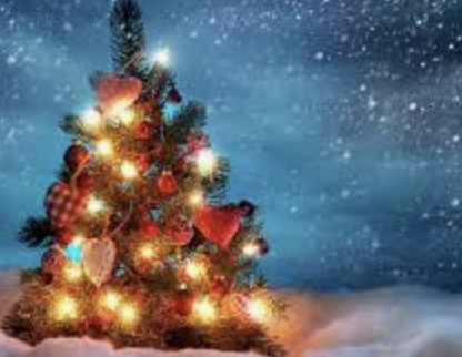 Papai Noel Trocou o Trenó pelo Barquinho: Natal Tropical é em Ubatuba