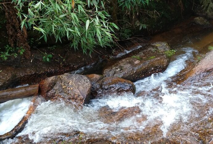 Descubra as Corredeiras do Fojo em Campos do Jordão: Um Refúgio Escondido na Natureza