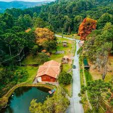 Campos do Jordão para fãs de literatura: eventos literários e locais inspiradores