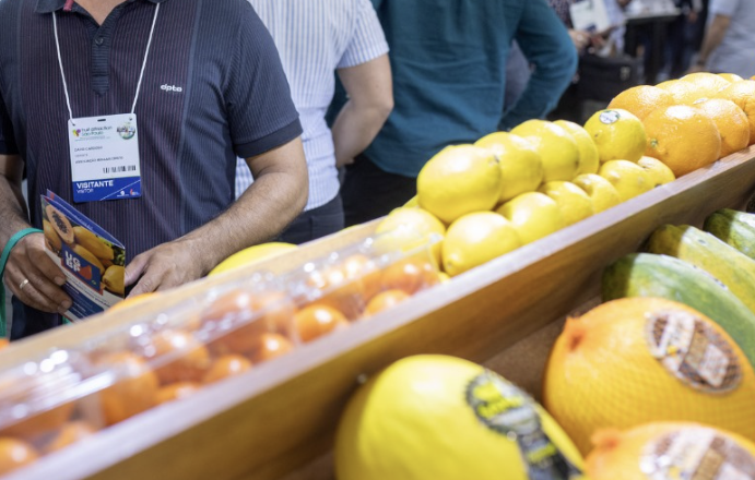 Fruit Attraction 2025: O Maior Evento do Setor de Frutas e Hortaliças em São Paulo