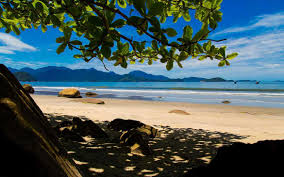 Ubatuba raiz: com sal no rosto, pé na areia e sabor de mar no coração