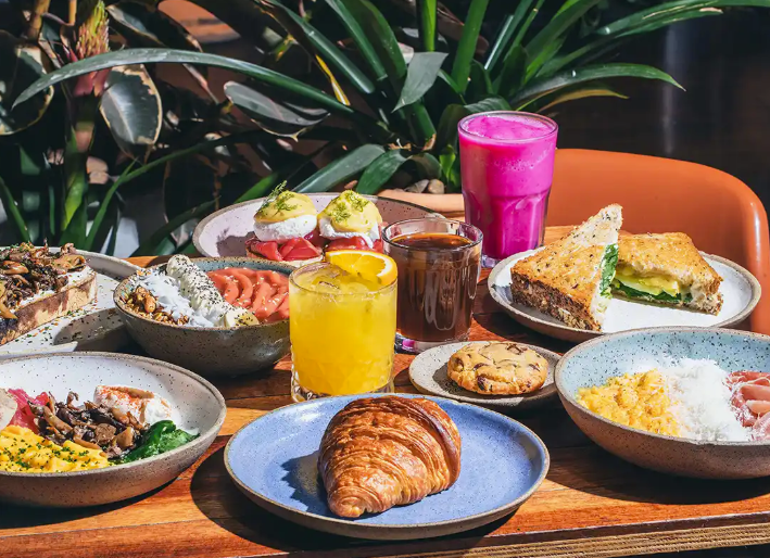 Fazenda Irarema O Melhor Azeite de Poços de Caldas em Uma Experiência Inesquecível Fazenda Irarema: O Melhor Azeite de Poços de Caldas em Uma Experiência Inesquecível