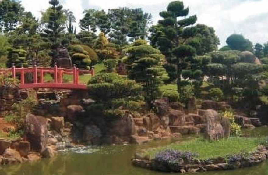 Bosque e Zoológico Fábio Barreto2 Refúgio Natural e Conservação Ambiental em Ribeirão Preto Bosque e Zoológico Fábio Barreto: Refúgio Natural e Conservação Ambiental em Ribeirão Preto