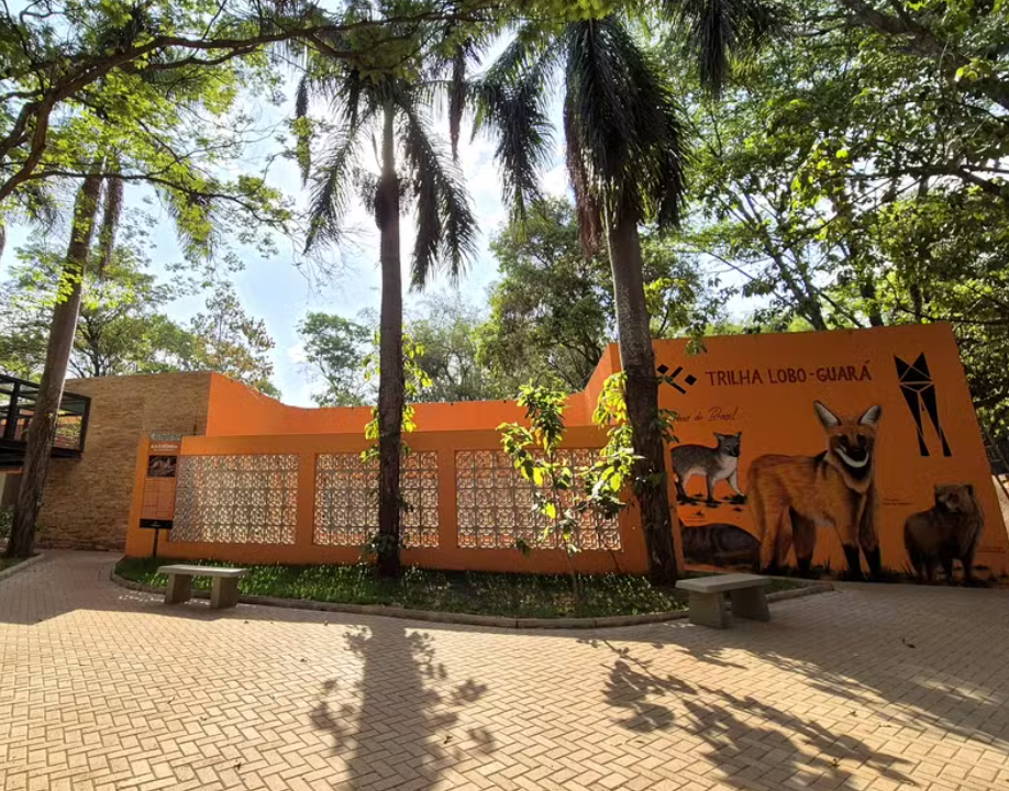 <h1>Parque Ecológico do Baguaçu: um refúgio verde no coração de Araçatuba</h1> 
Entre ruas movimentadas e o ritmo urbano de Araçatuba, existe um lugar onde o som das aves substitui o barulho dos carros e o ar puro convida à pausa: o Parque Ecológico do Baguaçu. Inaugurado em 22 de novembro de 1988, o espaço é um verdadeiro tesouro natural localizado às margens do Ribeirão Baguaçu, um santuário de biodiversidade que encanta moradores e turistas.
Para quem se hospeda no Hotel Nacional Inn Araçatuba, visitar o parque é uma oportunidade de se conectar com a natureza sem precisar sair da cidade. Ideal para passeios em família, caminhadas tranquilas ou momentos de reflexão, o Parque do Baguaçu combina beleza natural, importância ambiental e valor histórico, tornando-se um dos principais pontos turísticos da região.
<h2>Um patrimônio ambiental de Araçatuba</h2> 
Conhecido pela sigla PEBA, o Parque Ecológico do Baguaçu foi criado com o objetivo de preservar a fauna e a flora local, além de funcionar como espaço educativo voltado à conscientização ambiental. Ele está situado entre a Avenida Baguaçu, Avenida Waldir Felizola de Morais e Avenida Joaquim Pompeu de Toledo, em uma área privilegiada próxima à empresa SAMAR, responsável pelo tratamento de água e esgoto da cidade.
Com mais de três décadas de existência, o parque abriga diversas espécies de plantas, aves e pequenos animais, sendo considerado um dos últimos refúgios ecológicos urbanos da região. Sua rica biodiversidade transforma o local em um verdadeiro laboratório natural, utilizado por estudantes, pesquisadores e amantes do meio ambiente.
Os visitantes encontram trilhas ecológicas, áreas sombreadas e um cenário que muda a cada estação. Durante o passeio, é possível observar árvores nativas, bromélias e flores silvestres que embelezam os caminhos, enquanto o canto dos pássaros cria a trilha sonora perfeita para um dia de paz e contemplação.
<h2>Trilhas, história e biodiversidade</h2> 
O Parque do Baguaçu se destaca também por sua trilha ecológica, que acompanha as margens do ribeirão e revela paisagens exuberantes. Antigamente, a área abrigava uma pedreira, utilizada na construção de parte da cidade. Com o tempo, o espaço foi revitalizado e transformado em um ambiente de preservação, voltado para o lazer e a educação ambiental.
Hoje, as trilhas conduzem o visitante por um percurso que une história e natureza. Ao longo do caminho, é possível observar as antigas formações rochosas da pedreira, enquanto a vegetação reconstituída abriga diferentes espécies de aves. Muitos visitantes relatam avistar tucanos, maritacas, beija-flores e outras aves típicas da região, tornando o parque um paraíso para observadores e fotógrafos da vida selvagem.
O Ribeirão Baguaçu, que dá nome ao parque, corta parte do terreno e oferece um cenário refrescante. O som da água correndo suavemente entre as pedras cria uma atmosfera relaxante, perfeita para quem busca momentos de descanso e reconexão.
<h2>Educação e conscientização ambiental</h2> 
Mais do que um espaço de lazer, o Parque Ecológico do Baguaçu é um centro de educação ambiental ativo. A Secretaria Municipal de Meio Ambiente de Araçatuba mantém no local uma equipe dedicada a atividades pedagógicas voltadas para escolas, universidades e grupos comunitários.
As visitas podem ser agendadas e incluem trilhas monitoradas, oficinas e palestras sobre sustentabilidade, reciclagem e preservação da fauna e flora. Essa iniciativa aproxima crianças e jovens do contato direto com o meio ambiente, despertando desde cedo a consciência ecológica e o respeito pela natureza.
O parque também recebe eventos anuais ligados à Semana do Meio Ambiente, ações de reflorestamento e programas de voluntariado, que ajudam na manutenção e revitalização das áreas verdes.
<h2>Um passeio tranquilo e acessível</h2> 
Aberto ao público de segunda a sexta-feira, das 8h às 17h, o Parque Ecológico do Baguaçu é gratuito e de fácil acesso para quem está no centro da cidade. Sua infraestrutura é simples, mas funcional, e conta com áreas de descanso, pontos de observação e uma pequena sede administrativa usada para atividades de pesquisa e monitoramento ambiental.
A experiência é ideal para quem busca um passeio tranquilo, cercado pela natureza, longe da correria cotidiana. Caminhar pelas trilhas, respirar ar puro e observar a vida ao redor é uma forma de desacelerar e recarregar as energias, algo que combina perfeitamente com o espírito acolhedor de Araçatuba.
<h2>Como chegar a partir do Hotel Nacional Inn Araçatuba</h2> 
Localizado a poucos minutos do Hotel Nacional Inn Araçatuba, o parque é de fácil acesso tanto de carro quanto de transporte por aplicativo. O trajeto leva cerca de 10 minutos, cruzando avenidas centrais até a Rua Baguaçu, número 1259.
A dica é visitar o parque pela manhã, quando o clima está mais ameno e a luz natural realça o verde intenso da vegetação. Após o passeio, o visitante pode aproveitar para almoçar em um dos restaurantes próximos e, em seguida, retornar ao hotel para relaxar.
O Nacional Inn Araçatuba oferece todo o conforto necessário após um dia de caminhada e exploração, com quartos amplos, ar-condicionado, Wi-Fi gratuito, café da manhã completo e uma equipe sempre disposta a auxiliar com dicas sobre o que fazer na cidade.
<h2>Um convite à reconexão</h2> 
O Parque Ecológico do Baguaçu é um lembrete de que o contato com a natureza pode estar mais perto do que imaginamos. Entre árvores centenárias e o som da água, o visitante encontra paz, aprendizado e um novo olhar sobre o meio ambiente.
Ao escolher o Hotel Nacional Inn Araçatuba como base, é possível unir comodidade, boa localização e experiências autênticas. O hotel, situado no coração da cidade, oferece fácil acesso a todas as atrações de Araçatuba, do agito dos bares e restaurantes ao refúgio tranquilo do parque.
Visitar o Baguaçu é uma forma de valorizar a beleza natural da região e vivenciar momentos que equilibram corpo e mente. É um passeio que agrada a quem ama natureza, fotografia, caminhadas ou simplesmente deseja respirar ar puro.
Entre o conforto do Nacional Inn e a serenidade do parque, o visitante descobre o melhor de Araçatuba: uma cidade que acolhe, preserva e encanta, com o verde como cenário e a hospitalidade mineira da Rede Nacional Inn como companhia.

