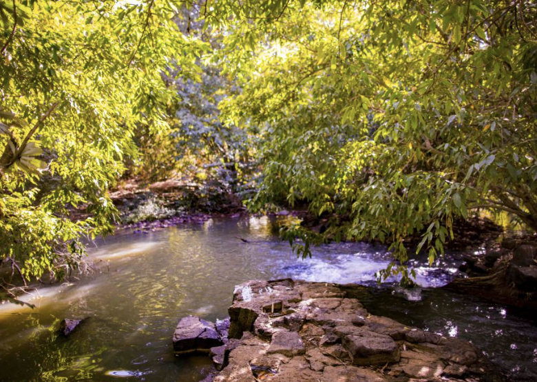 Parque Ecológico do Baguaçu1 um refúgio verde no coração de Araçatuba Parque Ecológico